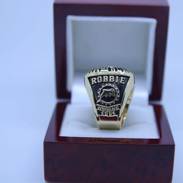 1972 Miami Dolphins championship ring replica with custom name – Premium Series Football Rings 1972 dolphins 3