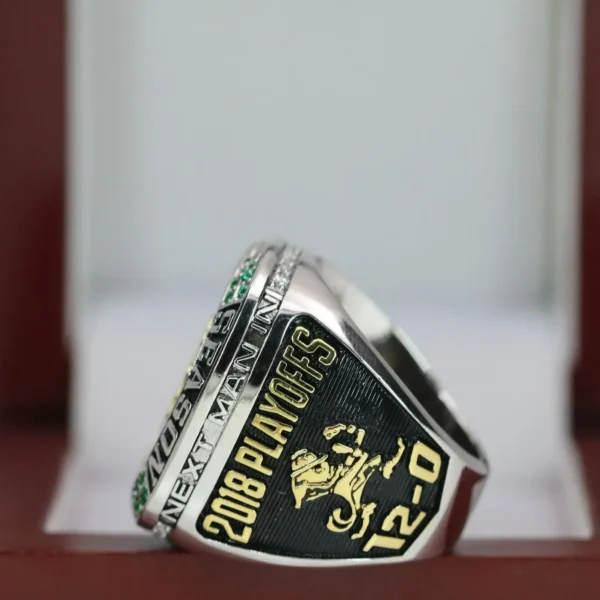 2018 Notre Dame Fighting Irish Perfect Season Commemoration Ring replica with custom name – Premium Series NCAA Rings big 10 4